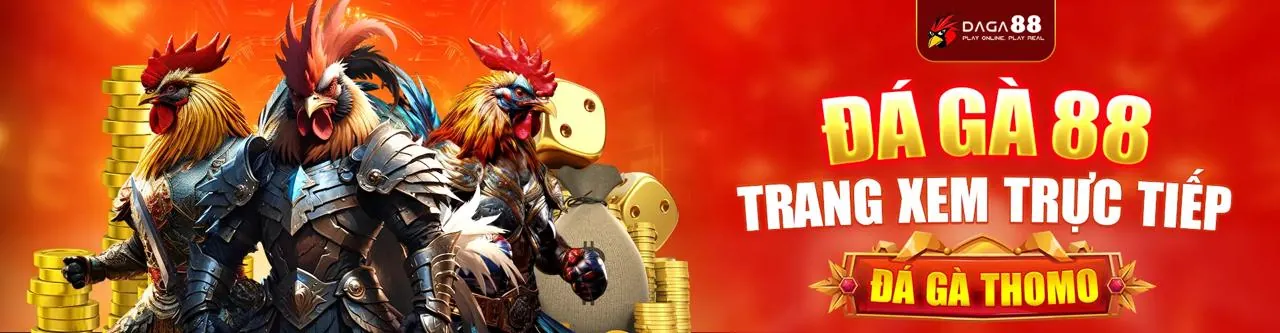Đấu trường đá gà Thomo sôi động