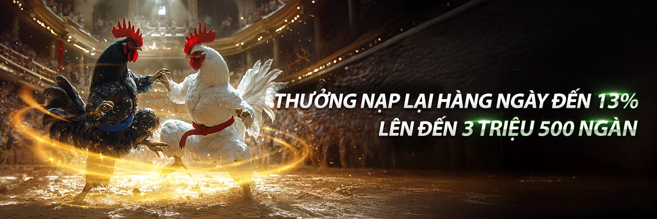 Tải ứng dụng Thomo 2026 để cá cược đá gà và casino trực tuyến